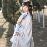 Vintage Chinese Hanfu Dress Sweet Qi Long Kimono Sleeve Lolita Dress